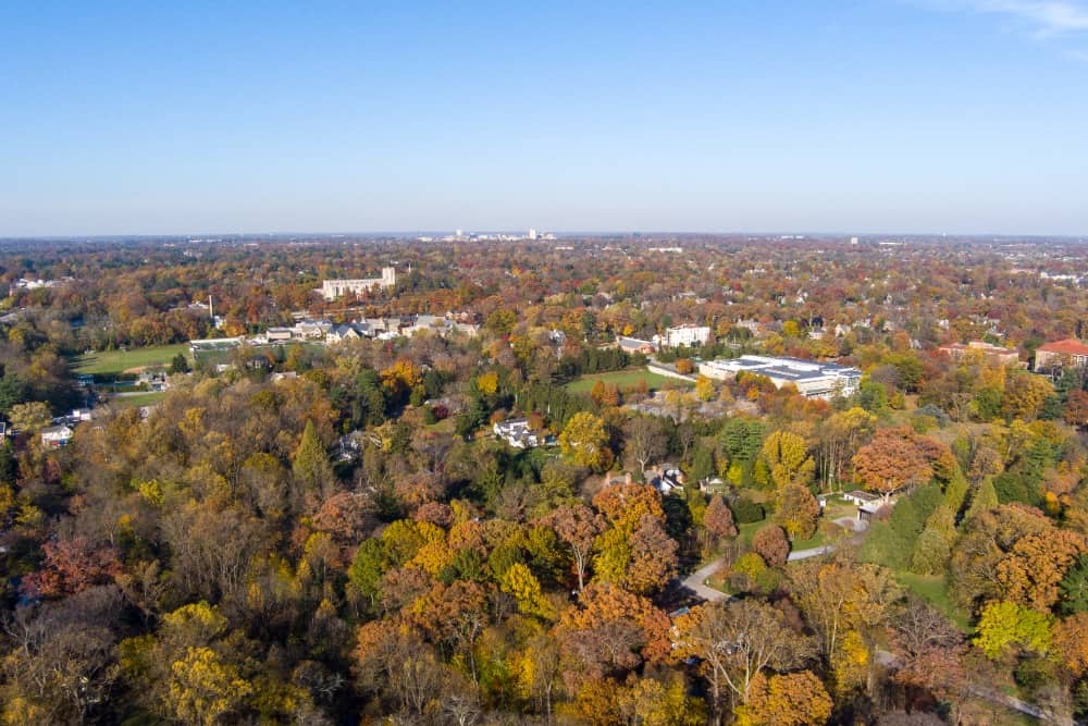 Towson MD Area Info Next Step Realty